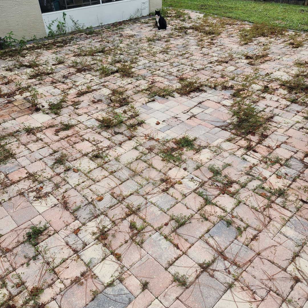 Before Paver Restoration